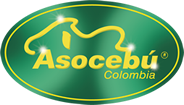Asocebu